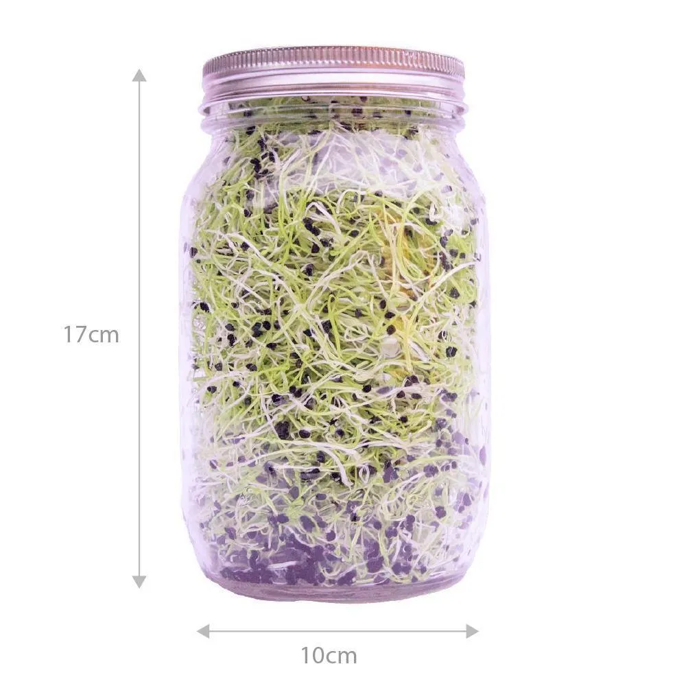 Speedy Sprouters | Beginner friendly sprout jar